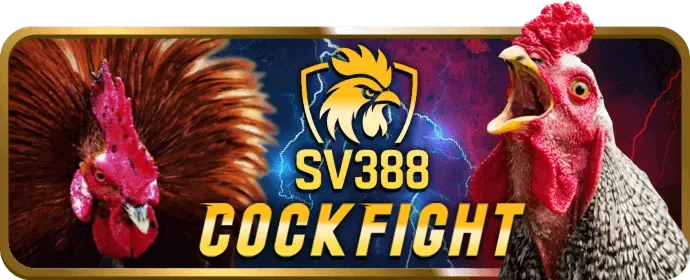 Thưởng nạp lại betvnd99